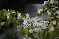 Лот: 4052657. Фото: 6. Автофокусный!!! Для Сanon EF или...