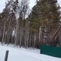 Лот: 8031453. Фото: 2. Земельный участок, Мал. Кускунка. Продажа