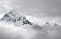Лот: 20582282. Фото: 2. Ламинат AGT Effect Elegance Everest... Отделочные материалы