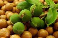 Лот: 11939407. Фото: 2. Макадамия орех в скорлупе свежий... Продукты