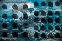 Лот: 9670229. Фото: 2. Альбом для монет 200 лет Победы... Монеты