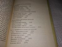 Лот: 13913304. Фото: 3. Старикович С., Самые обычные животные... Литература, книги