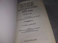 Лот: 18997487. Фото: 2. История русской литературы XIX... Общественные и гуманитарные науки