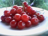 Лот: 1985524. Фото: 2. Вишня на длинной ножке 3 литра. Продукты