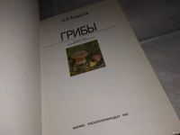 Лот: 12814369. Фото: 2. Oz. Грибы, Федор Федоров, В красочной... Дом, сад, досуг
