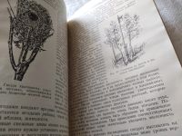 Лот: 18440510. Фото: 8. Доппельмаир Г.Г., Мальчевский...