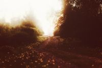 Лот: 3328470. Фото: 6. Nikon 85mm f/1.8G AF-S Nikkor