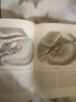 Лот: 19921951. Фото: 3. Хирургическая анатомия живота... Литература, книги