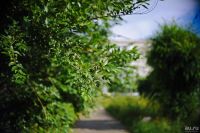 Лот: 10004276. Фото: 2. Tokina at-x PRO dx AF 35 mm f... Фото, видеокамеры, оптика