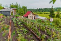 Лот: 8167359. Фото: 3. Дача 6 соток - станция Камас -... Недвижимость