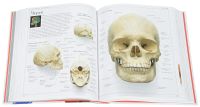Лот: 16868357. Фото: 4. Большой иллюстрированный словарь... Красноярск
