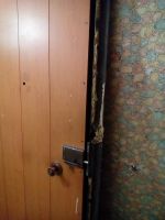 Лот: 15029794. Фото: 2. дверь входная. Двери, окна, фурнитура