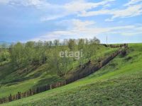 Лот: 20363986. Фото: 4. Продам участок 466.4 сот. Иркутское... Красноярск