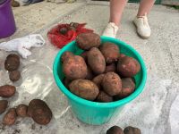 Лот: 20553466. Фото: 6. Вкусный, экологически чистый...