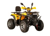 Лот: 25788127. Фото: 3. Квадроцикл SPR Armour 200 Pro. Авто, мото, водный транспорт