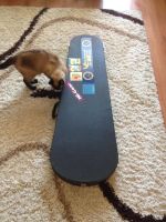 Лот: 7123633. Фото: 2. Yamaha RBX 270J. Музыкальные инструменты