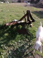 Лот: 25797035. Фото: 6. Трактор ВТЗ Т-25А c прицепами