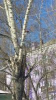 Лот: 6334379. Фото: 6. Установка Видеонаблюдение не дорого
