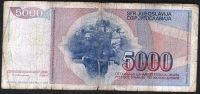 Лот: 9409528. Фото: 2. 5000 динаров 1995 г. Югославия. Банкноты