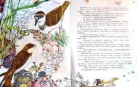Лот: 19583493. Фото: 3. Бианки Виталий - Лесные домишки... Литература, книги