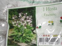 Лот: 946914. Фото: 3. Хоста2. Для дачи, дома, огорода, бани, парка