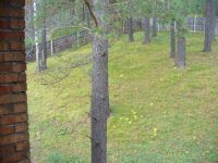 Лот: 2250395. Фото: 18. Собственник. Продам недорого хороший...