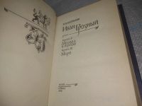 Лот: 25896081. Фото: 2. ок.(40923113А) Костылев В. Иван... Общественные и гуманитарные науки