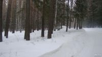 Лот: 9030752. Фото: 5. Участок 10 соток станция Минино