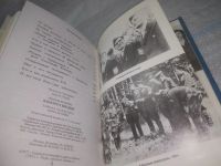 Лот: 25449026. Фото: 3. вб(4092362)Широнин Вячеслав, Под... Литература, книги