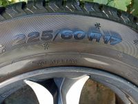 Лот: 20737039. Фото: 3. Шины Viatti Bosco Nordico. Авто, мото, водный транспорт