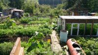 Лот: 9550545. Фото: 2. продам дачу. Продажа