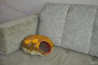 Лот: 9148559. Фото: 2. Дом из войлока для кота / кошки... Животные и уход