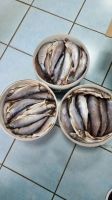 Лот: 20732696. Фото: 2. Хариус с/с Крупный -825/кг.Доставка. Продукты