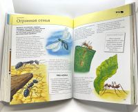 Лот: 25802642. Фото: 11. 📘 Тамара Грин. Насекомые. Полная...
