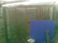 Лот: 1204939. Фото: 2. тепличка. Парники, теплицы