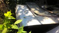 Лот: 7693124. Фото: 2. Стекло заднее газ 31029,2410 с... Автозапчасти