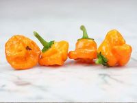 Лот: 13934013. Фото: 2. Семена перца Scotch Bonnet Yellow... Семена, рассада, садовые растения