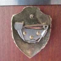 Лот: 25883752. Фото: 3. Значок солдата Отличник Советской... Коллекционирование, моделизм