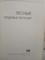 Лот: 19500586. Фото: 2. Лесные плодовые растения. Справочная литература