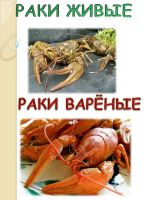 Лот: 6300181. Фото: 3. Живые и варёные раки, доставка... Красноярск