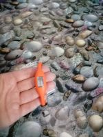 Лот: 20591282. Фото: 3. Шагомер. Спортивные товары