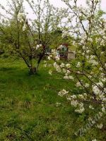 Лот: 834624. Фото: 3. Продам дача станция Енисей. Недвижимость