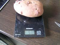 Лот: 13514693. Фото: 2. Картофель красный семенной, картошка. Семена, рассада, садовые растения