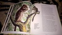 Лот: 10091860. Фото: 4. Книга "Животный мир Австралии". Красноярск