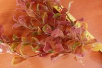 Лот: 13510489. Фото: 2. растение искуственное. Аквариумистика