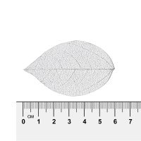 Лот: 25012986. Фото: 2. Листья скелетированные "Mr.Painter... Ручная работа