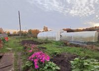 Лот: 25770384. Фото: 18. 4-комн. дом , село Совхоз Сибиряк...