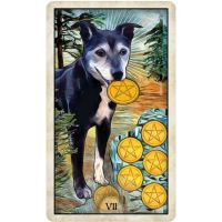 Лот: 21315842. Фото: 9. Карты Таро "Wise Dog Tarot" US...