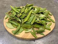 Лот: 24372170. Фото: 2. Кашкара (Рододендрон золотистый... Продукты