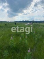 Лот: 25295077. Фото: 6. участок , село Частоостровское...